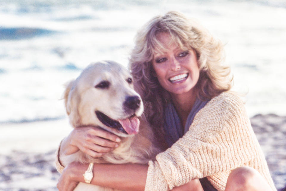 Farrah Fawcett wavy hair smiles as she hugs a Golden Retriever dog on a beach