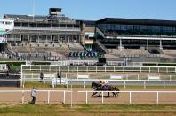 Horse Racing at Newcastle Racecourse