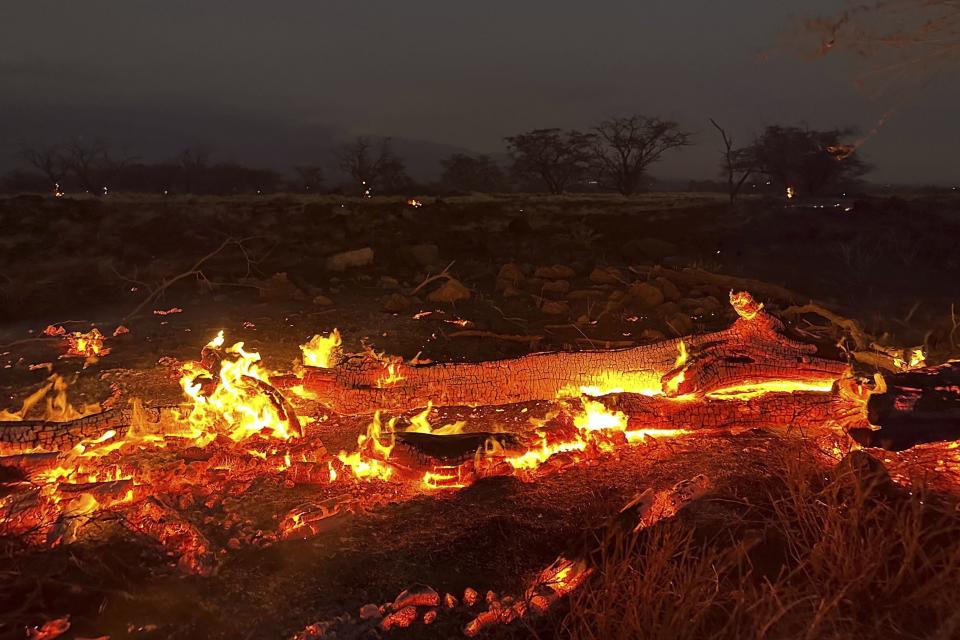 夏威夷毛伊島發生野生大火。（圖／AP NEWSROOM）