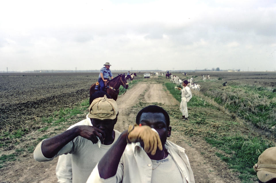 This 1974 photo shows prisoners at the Arkansas Department of Corrections Cummins Unit taking a water break while on work detail in the fields in Grady, Ark. As daily temperatures hit record highs across much of the South, a federal judge has taken an unusual step, challenging the treatment of mostly Black incarcerated workers in the fields. (Bruce Jackson via AP)