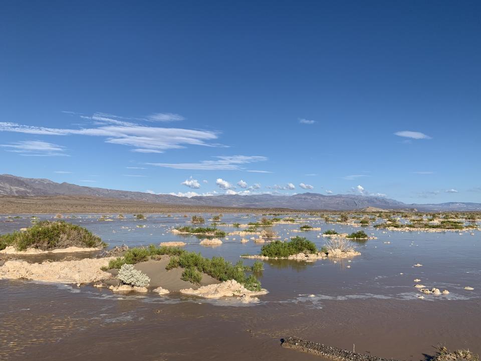 Flooding at Devils Cornfield off CA-190. (NPS photo)