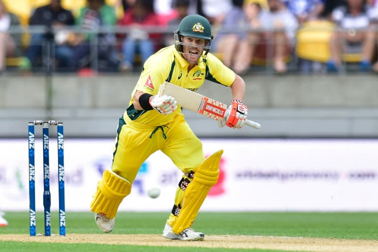 Australia's David Warner plays a shot during the second ODI against New Zealand at Westpac Stadium on February 6, 2016