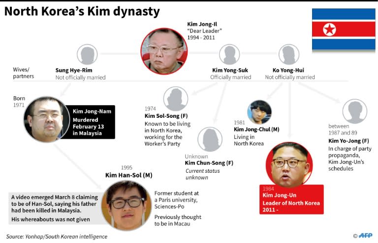 Kim Jong-Nam was assassinated with the lethal nerve agent VX at a Malaysian airport on February 13