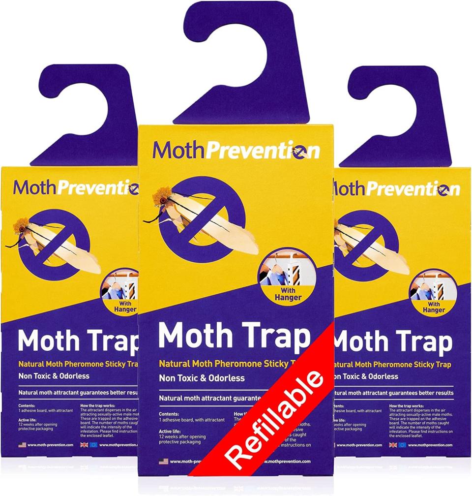 how to get rid of moths in clothes mothprevention powerful moth traps