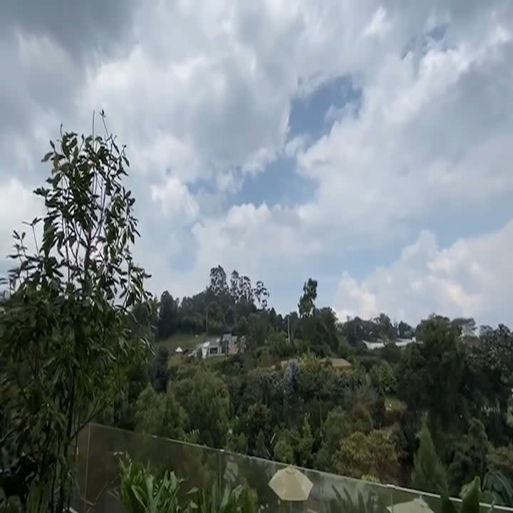 The backyard has greenery and a great view of nature