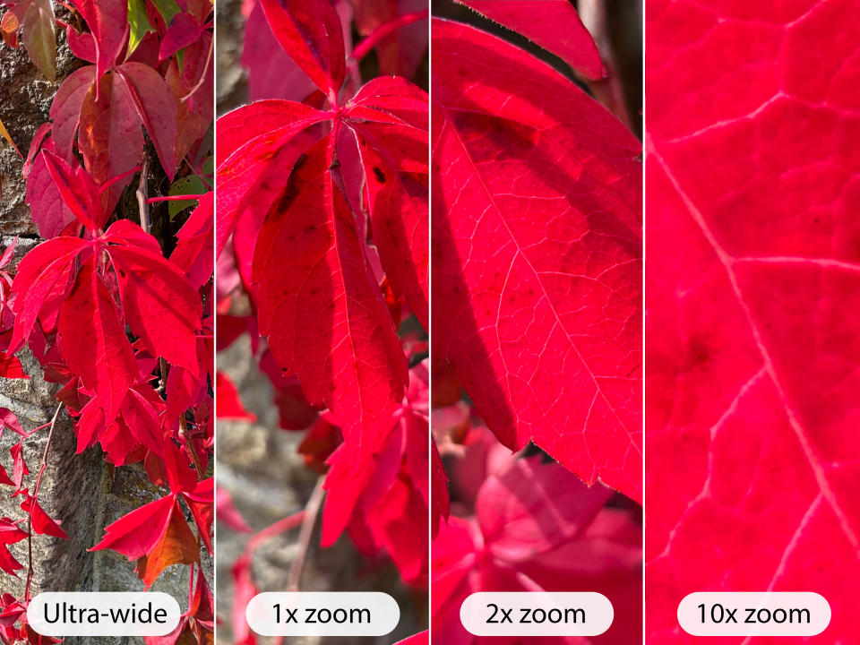 iPhone 15 Plus camera sample leaf range