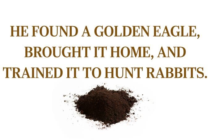 Text: "He found a golden eagle, brought it home, and trained to hunt rabbits."