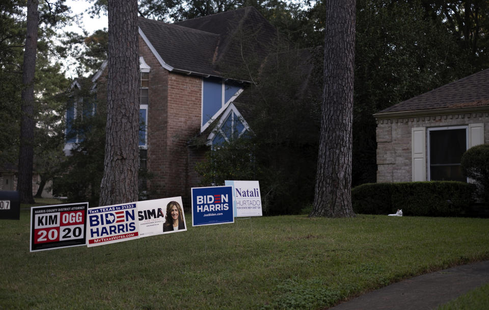 Image: Biden Harris campaign signs and a white cat on the lawn of a home in Prestonwood Forest. (Lizzie Chen / for NBC News)