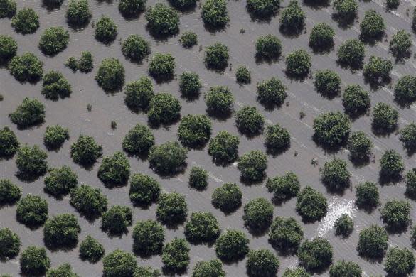 Aerial views of Isaac's destruction