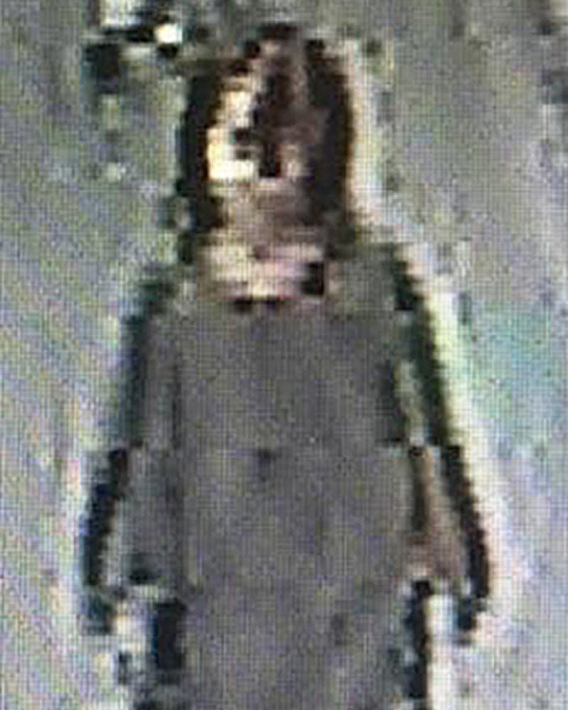 A CCTV still of the-girl