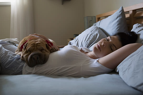 Dejar que tu perro duerma en tu cama crearía lazos más estrechos. Foto: Hero Images / Getty Images.