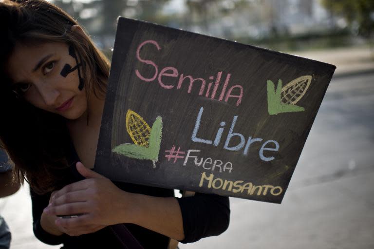 A woman holds a sign during a march against US agrochemical giant Monsanto on May 23, 2015, in Santiago, Chile