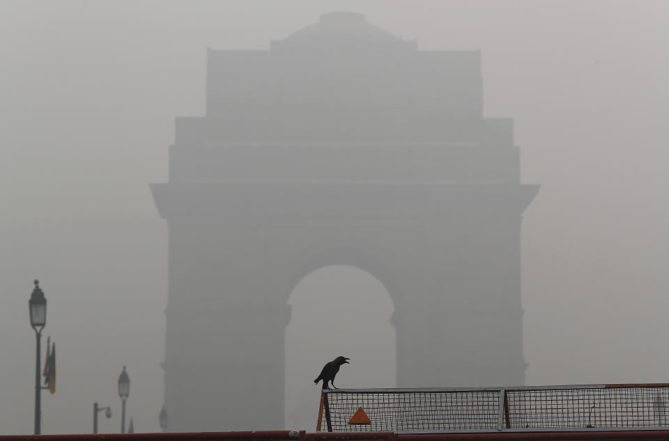 A crow sits on a barricade in front of India Gate amidst smog in New Delhi, Nov. 3, 2019. (Photo: Adnan Abidi/Reuters)