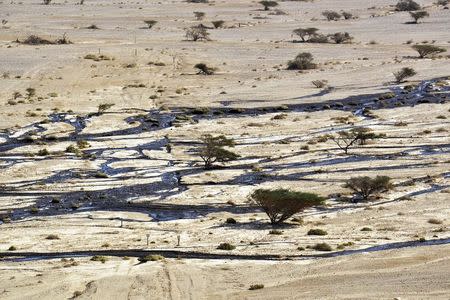 A general view shows crude oil as it streams in the desert in south Israel, near the village of Beer Ora, north of Eilat December 4, 2014. REUTERS/Yehuda Ben Itach