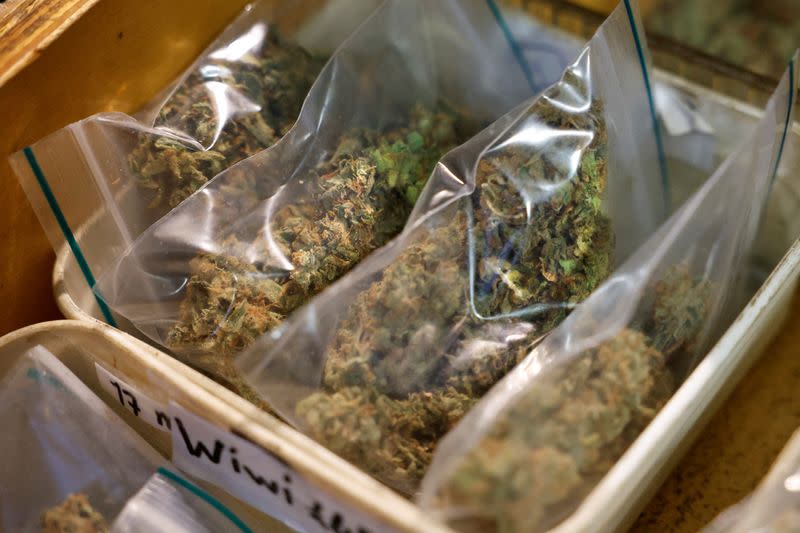 FILE PHOTO: A supply of Cannabis is seen at a coffeeshop in Breda