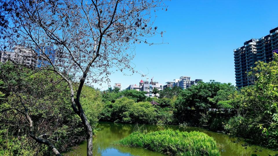 塭仔底溼地公園的濕地。   圖：新北市水利局提供