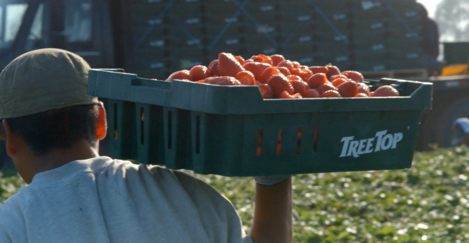 Selah, Wash. based Tree Top, Inc. plans to move its Medford, Ore. operations to Prosser in order to grow its market share of puree products.