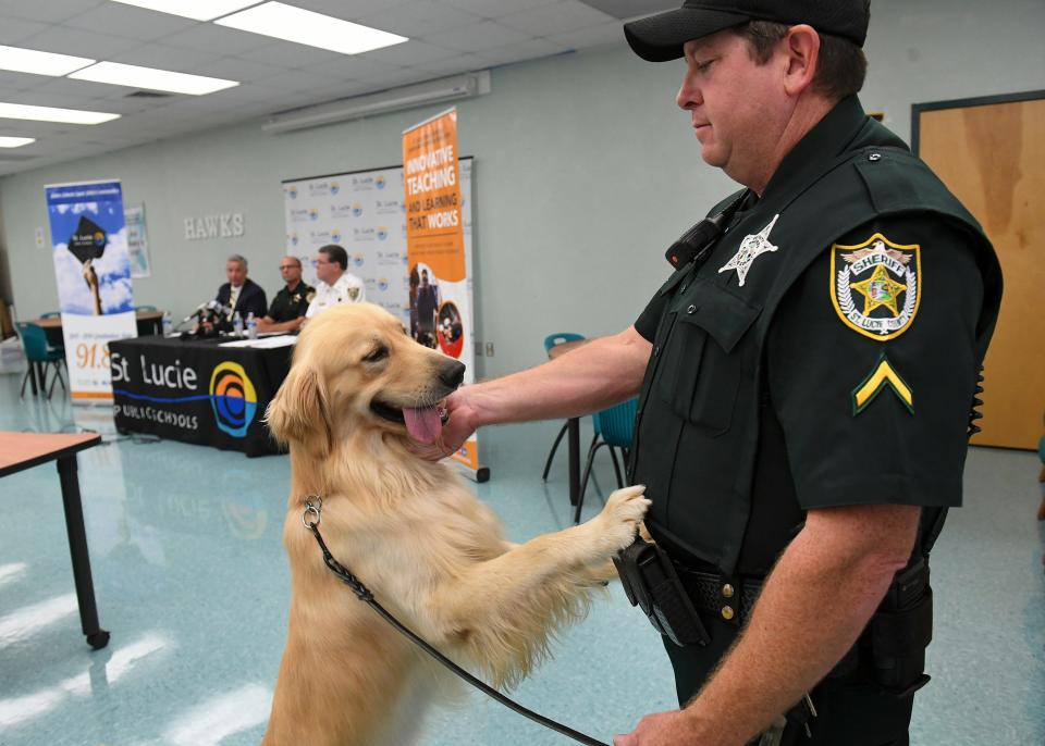 St. Lucie County, Florida, Sheriff's Office K-9 Deputy Jeff Ward plays with Rosco, a golden retriever narcotic and firearm detecting K9 joining the school resource officer unit. "They are very, very sociable but they perform a very important function for us," Sheriff Ken Mascara said about the two K9 dogs joining the Sheriff's Office school resource team.