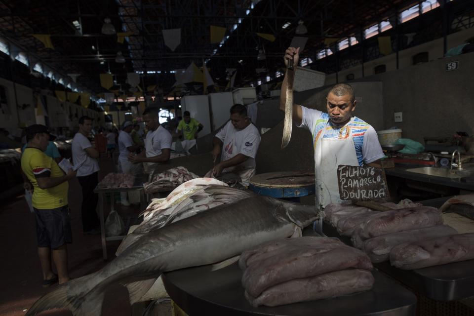 In this Sept. 7, 2019 photo, a fish vendor waits for customers after sharpening his knife inside the Ver-o-Peso riverside market in Belém, Brazil. The market sells Amazonian river fish like dourada or the giant piracucu, which can grow as long as 10 feet and weigh more than 400 pounds. (AP Photo/Rodrigo Abd)