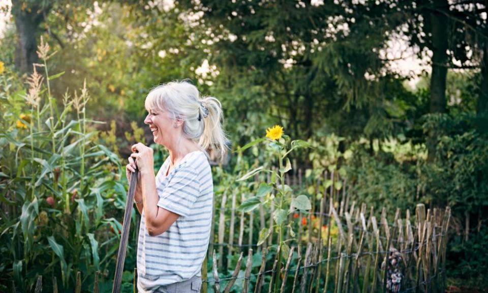 Mature woman working in her vegetable garden