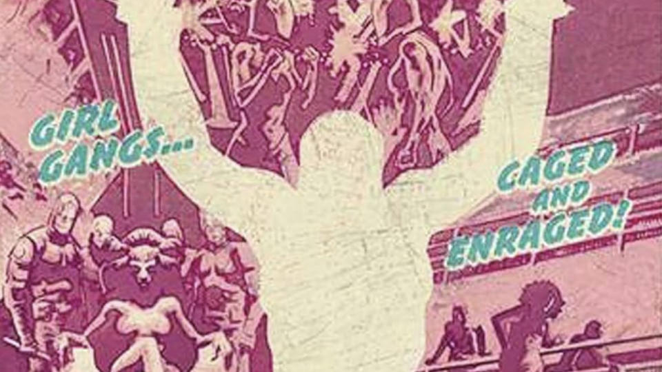 A cut-out shape of a woman with her hands raised above her head on the cover of Bitch Planet comic book