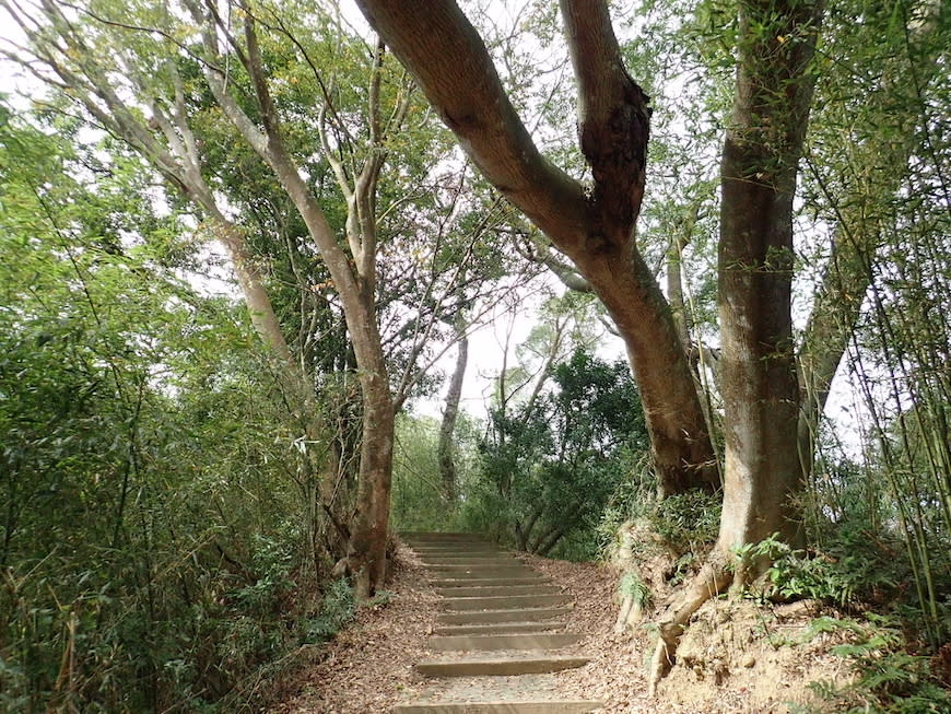 新竹十二寮登山步道