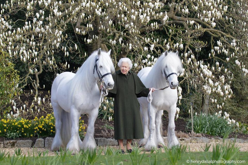 queen elizabeth birthday portrait