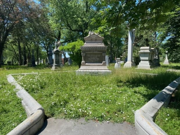 Frederic Collin visited his family's plot on Father's Day only to find it in a state of neglect. (Submitted by Frederic Collin - image credit)