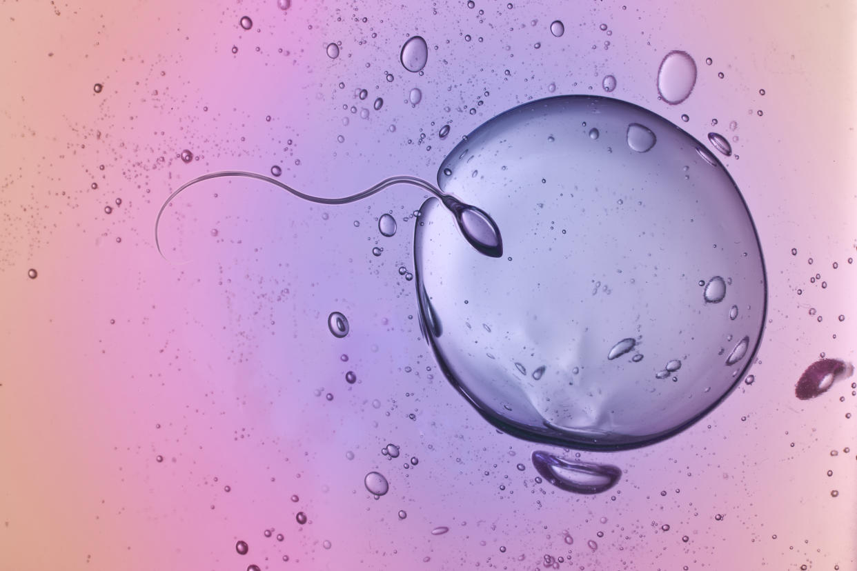 Sperm and Egg. Digital Composite.