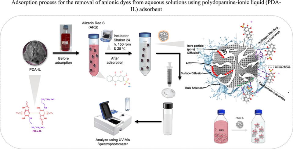 Graphic depicting the absorption process for the removal of anionic dyes from aqueous solutions using polydopamine-ionic liquid adsorbent.