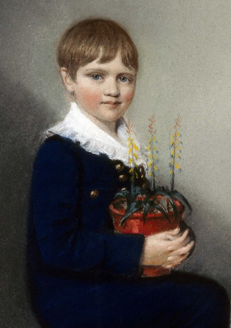 達爾文七歲時的畫像。（wikipedia/public domain）