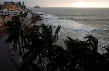 Palm trees waves in Mazatlan as Hurricane Willa approaches the Pacific beach resort, Mexico October 23, 2018. REUTERS/Henry Romero