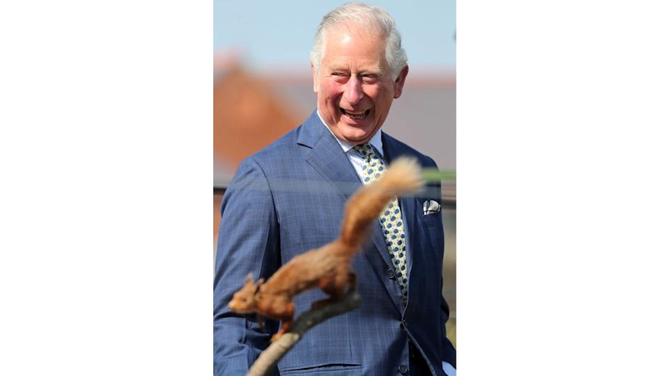 king charles beaming at red squirrel