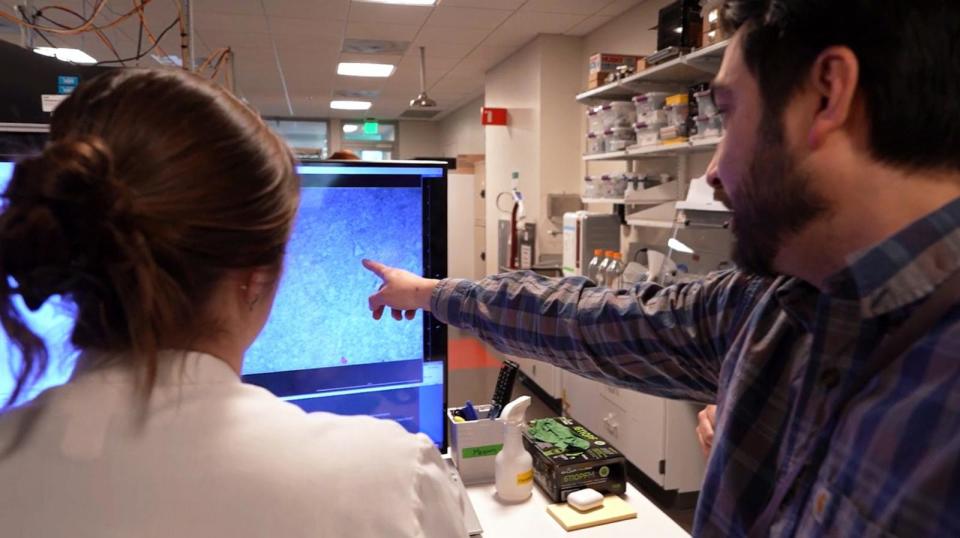 PHOTO: Senior scientist Brian Lee (right) and a researcher examine a scan at the Allen Institute in Seattle, Wash., March 13, 2024. (Allen Institute)