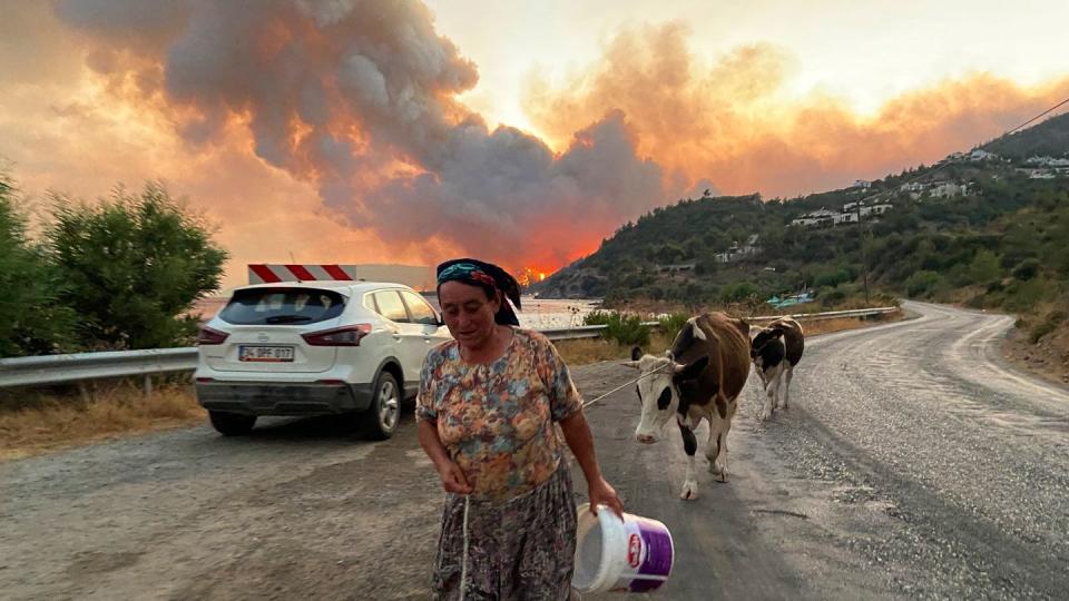 Eine Frau flieht mit ihren Tieren im türkischen Bodrum vor einem sich ausbreitenden Waldbrand.