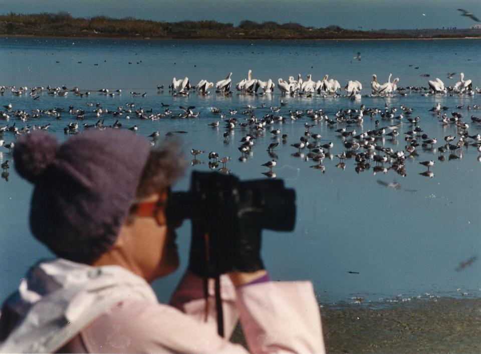 Dorothy Doerly of Chicago watches birds from the observation deck of the Hans Suter Wildlife Park along Ennis Joslin Road on Feb. 2, 1994.