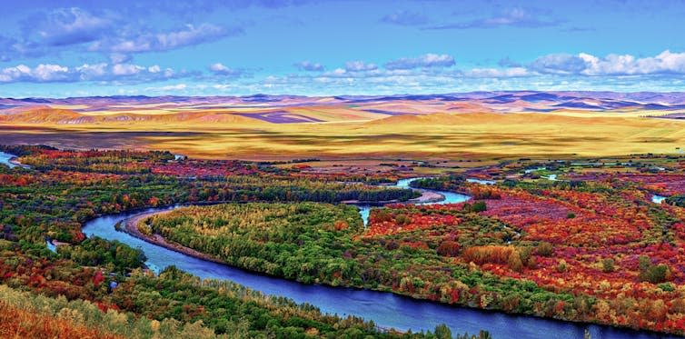 Aerial view of forest and river