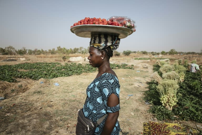 The strawberry fruit season runs from January to April in Burkina Faso (FANNY NOARO-KABRÉ)