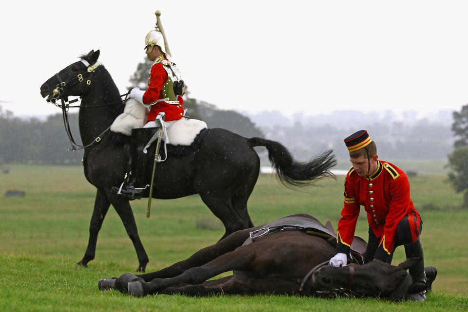 The Household Cavalry Prepare At Floors Castle Ahead Of Massed Pipe Bands Day