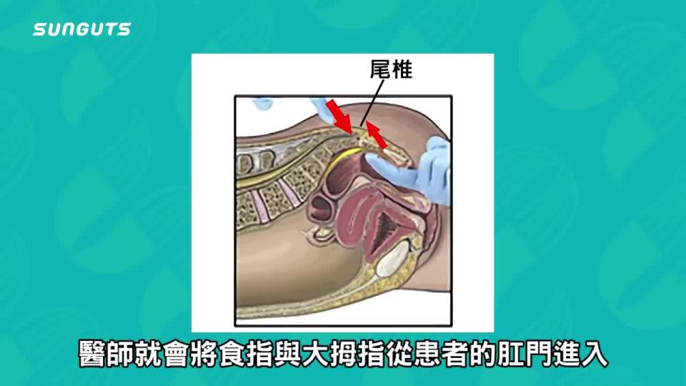 三個字SunGuts授權提供