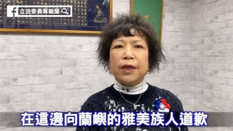 葉毓蘭為失言道歉表示「講得太快，很多事情沒有辦法解釋清楚，可能造成誤解，在這邊向蘭嶼的雅美族人抱歉。」(圖/翻攝自臉書)