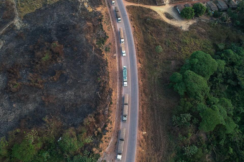 Trucks along the BR163 highway, a major transport route that has contributed to deforestation. <a href="https://www.gettyimages.com/detail/news-photo/aerial-view-of-trucks-queueing-along-the-br163-highway-in-news-photo/1174358903" rel="nofollow noopener" target="_blank" data-ylk="slk:Nelson Almeida / AFP via Getty Images;elm:context_link;itc:0;sec:content-canvas" class="link ">Nelson Almeida / AFP via Getty Images</a>