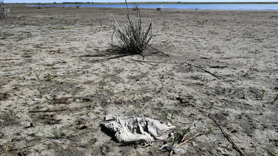 Colorado Parks and Wildlife ordered an emergency public fish salvage for Queens Reservoir in Kiowa County due to declining water levels related to drought conditions on July 21, 2022 in Eads, Colorado. (RJ Sangosti/MediaNews Group/The Denver Post via Getty Images)