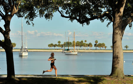 A jogger runs along the downtown St. Petersburg waterfront in the county which flipped from voting for Barack Obama in 2012 to backing Trump in Pinellas County, Florida, U.S., April 25, 2017. REUTERS/Steve Nesius