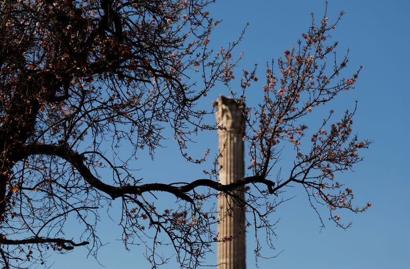 An ancient column is seen in the Roman Forum