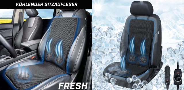 Praktisches Auto-Gadget im Sommer: Sitzauflage hält Rücken kühl