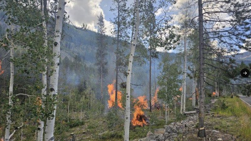 Crews burn slash piles near the Mirror Lake Highway Thursday. The U.S. Forest Service plans to clear out thousands of acres of dead trees in the Uinta Mountains to reduce wildfire risks.