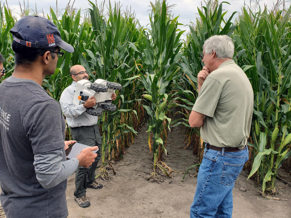 Girish Chowdhary, sosteniendo un robot TerraSentia, y Chinmay Soman, a la izquierda, con Tim Smith en uno de los campos de investigación de Smith en Farmer City, Ill. El robot está diseñado para generar el retrato más detallado posible de un campo, a partir del tamaño y la salud de las plantas, según la cantidad y la calidad de las mazorcas que cada planta de maíz producirá al final de la temporada, de modo que los agrónomos puedan producir cultivos aún mejores en el futuro. (Instituto de Biología Genómica / Universidad de Illinois vía The New York Times) 