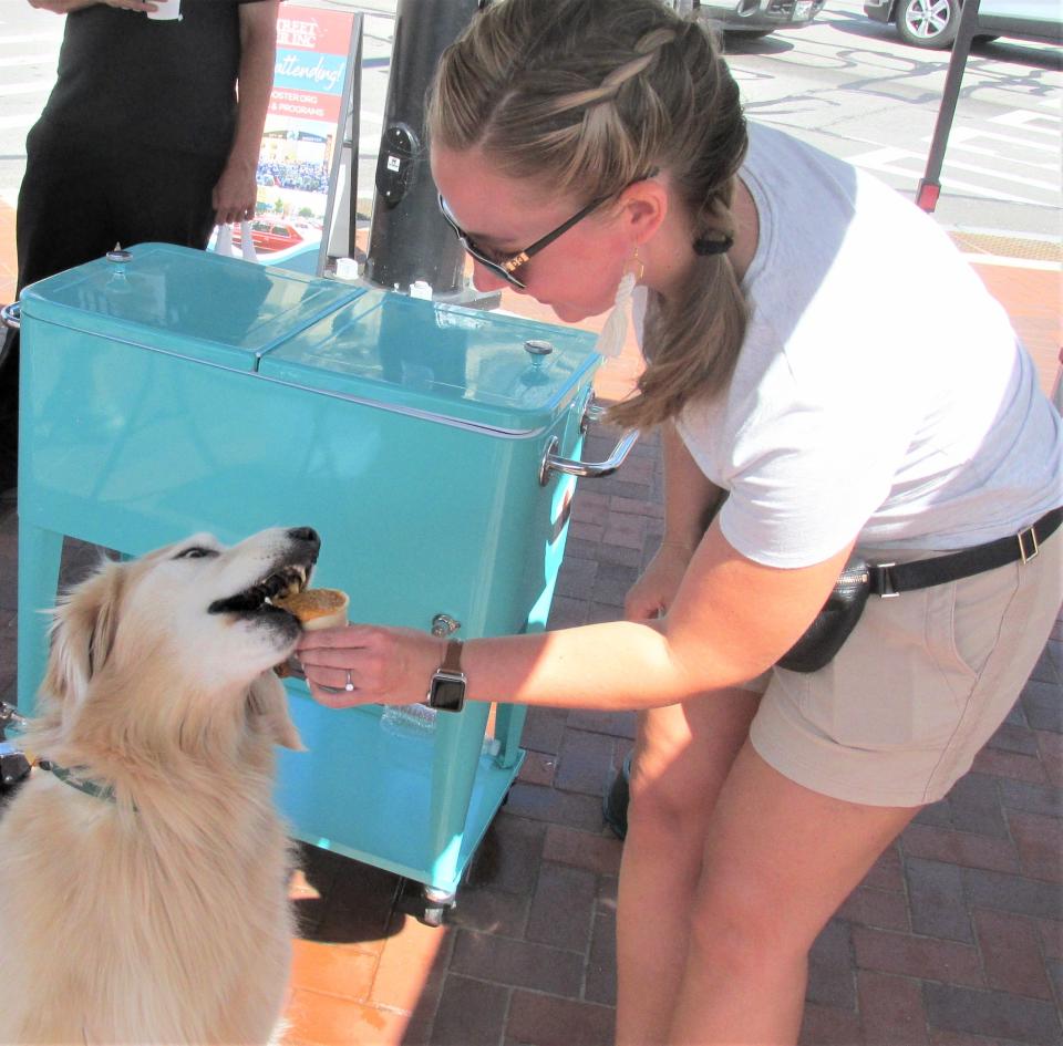 Henry Jones, a golden retriever, savors a Big Woof ice cream cone dog treat provided by company owner Michelle Miller during a Second Saturday celebration in downtown Wooster in this Daily Record file photo.