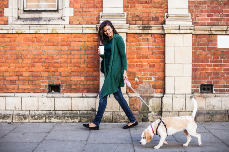 Les maîtres marcheraient 1 400 km par an en baladant leur chien [Photo: Getty]